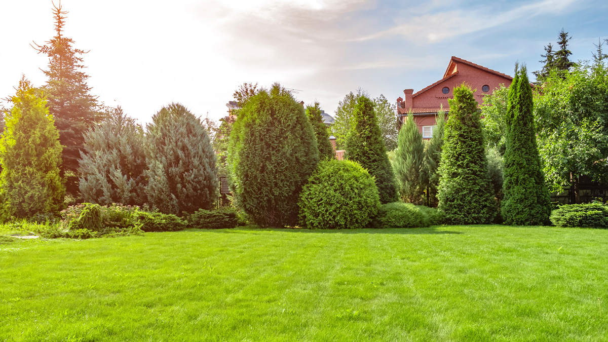 Keeping-Your-Lawn-Healthy-During-Dry-Spells